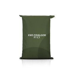 Żyto ozime KWS FIDALGOR F1 C1