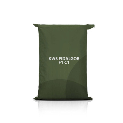 Żyto ozime KWS FIDALGOR F1 C1