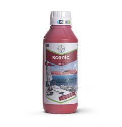 Zaprawa Scenic 080 FS