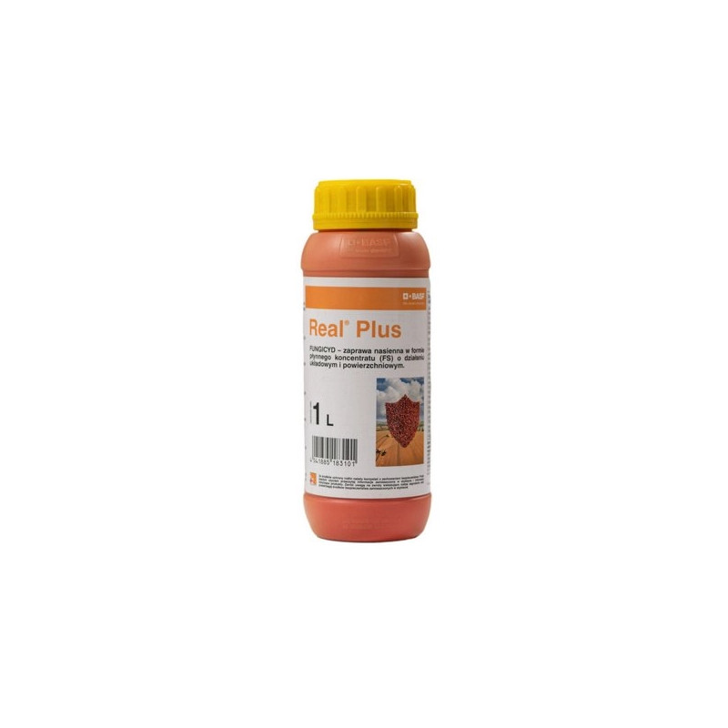 Zaprawa Real Plus