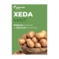 Xeda Mint Xeda Mint