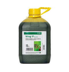 Wing P 462,5 EC