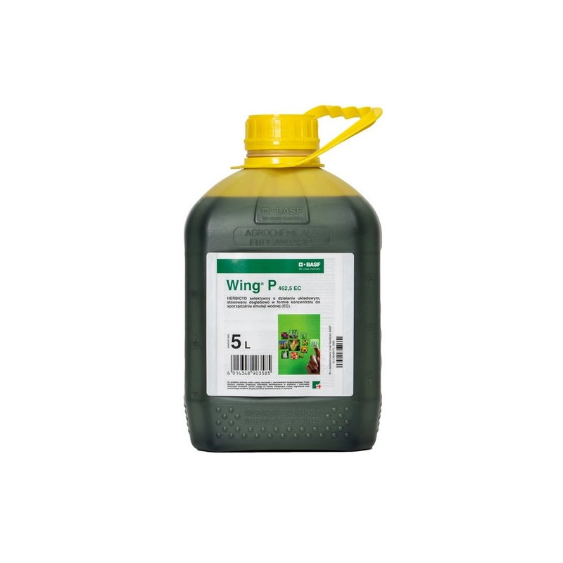 Wing P 462,5 EC