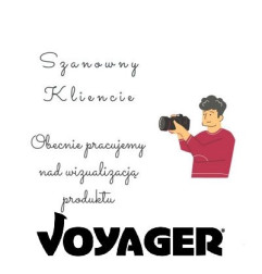 Voyager
