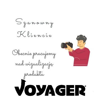 Voyager