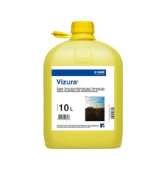 Vizura