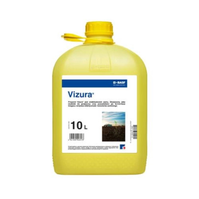 Vizura