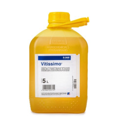 Vitissimo