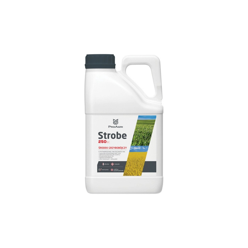 Strobe 250 SC Strobe 250 SC