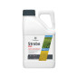 Strobe 250 SC Strobe 250 SC