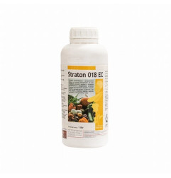 Straton 018 EC