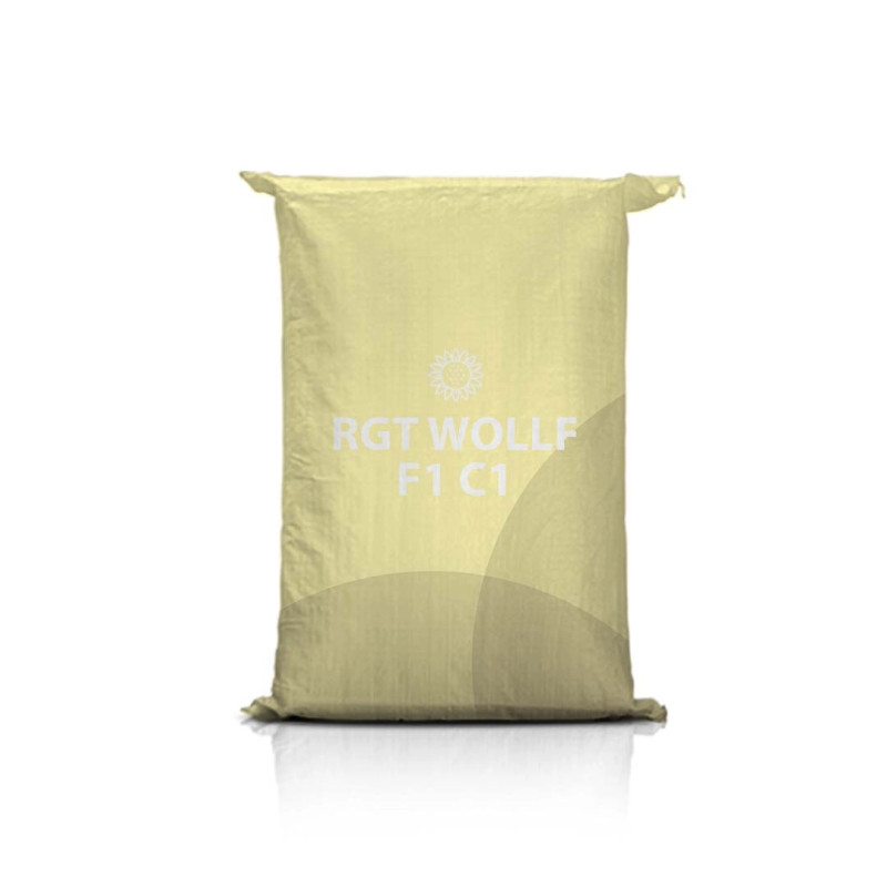 Słonecznik RGT Wollf F1 C1