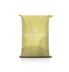 Słonecznik AUSTRALIA SU F1 C1