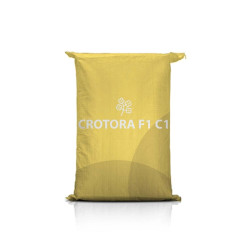 Rzepak ozimy CROTORA F1 C1