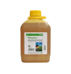 Revysky