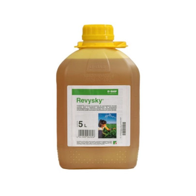 Revysky