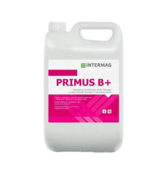Primus B+