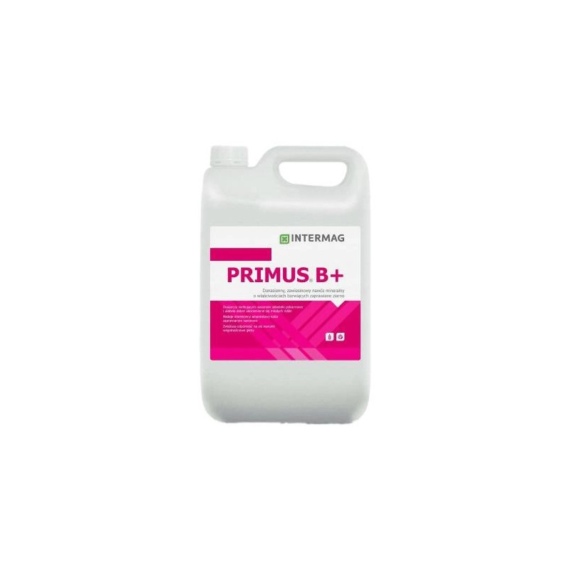 Primus B+