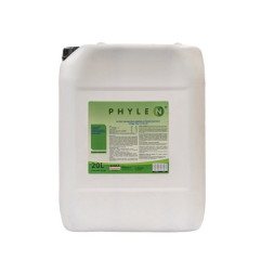 Phylen