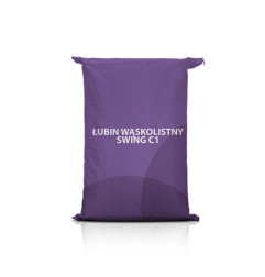 Łubin wąskolistny SWING C1