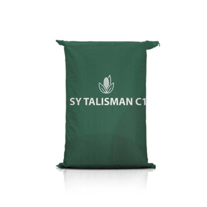 Kukurydza SY TALISMAN C1