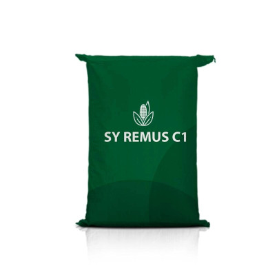 Kukurydza SY REMUS C1