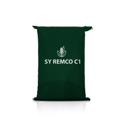 Kukurydza SY REMCO C1