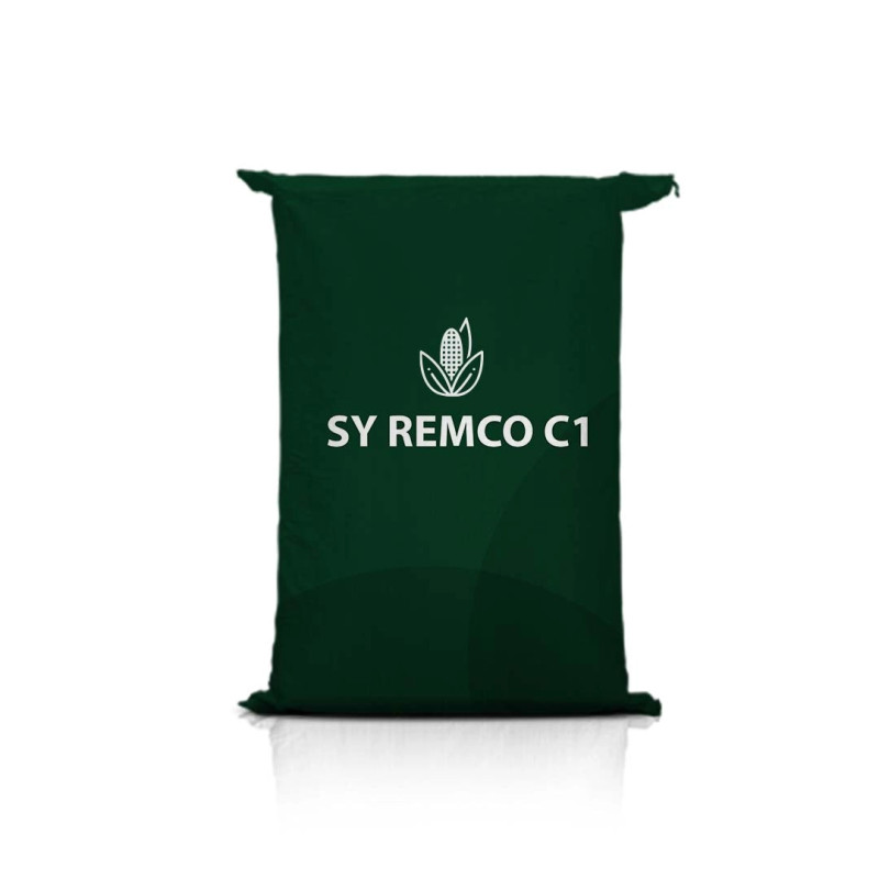 Kukurydza SY REMCO C1 Kukurydza SY REMCO C1