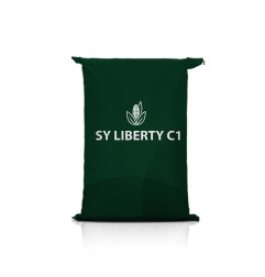 Kukurydza SY LIBERTY C1