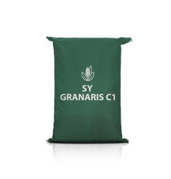 Kukurydza SY GRANARIS C1
