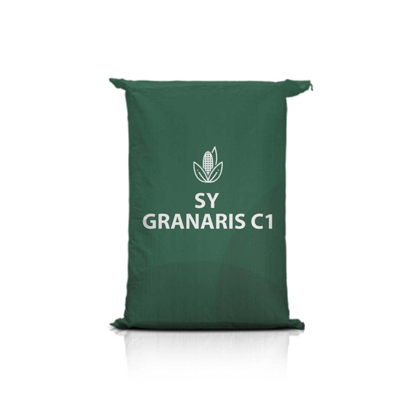 Kukurydza SY GRANARIS C1