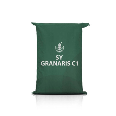 Kukurydza SY GRANARIS C1