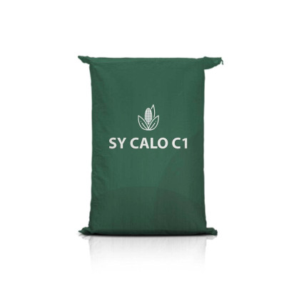Kukurydza SY CALO C1