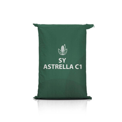 Kukurydza SY ASTRELLA C1