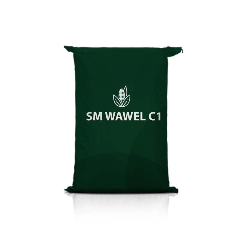 Kukurydza SM WAWEL C1 Kukurydza SM WAWEL C1