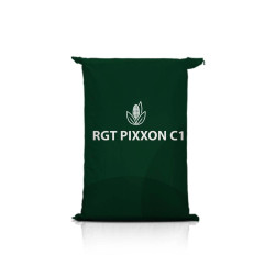 Kukurydza RGT PIXXON C1