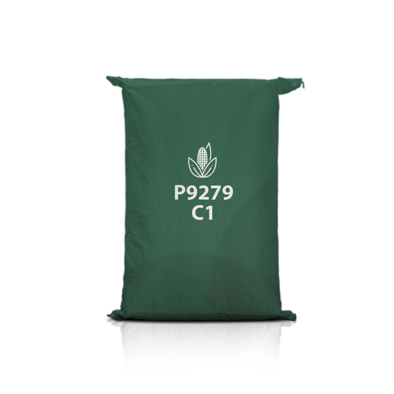 Kukurydza P9279 C1 Kukurydza P9279 C1