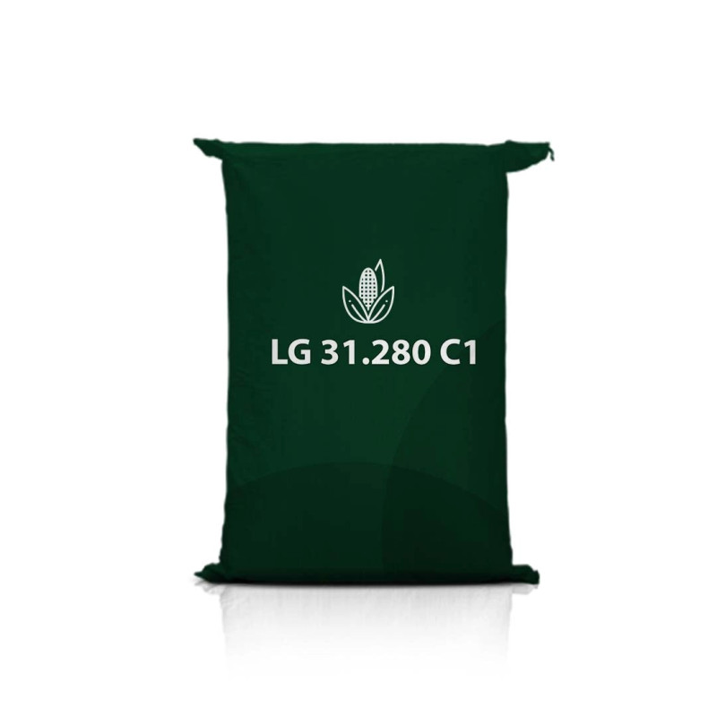 Kukurydza LG 31.280 C1 Kukurydza LG 31.280 C1