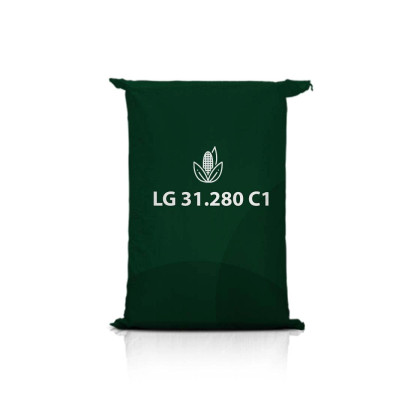 Kukurydza LG 31.280 C1