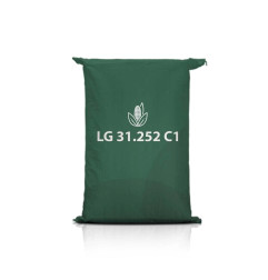 Kukurydza LG 31.252 C1