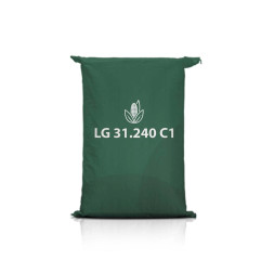 Kukurydza LG 31.240 C1