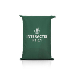 Kukurydza INTERACTIS F1 C1