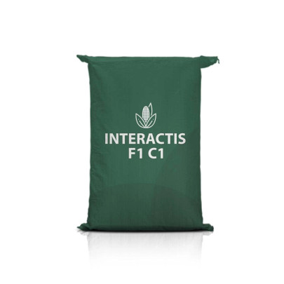 Kukurydza INTERACTIS F1 C1