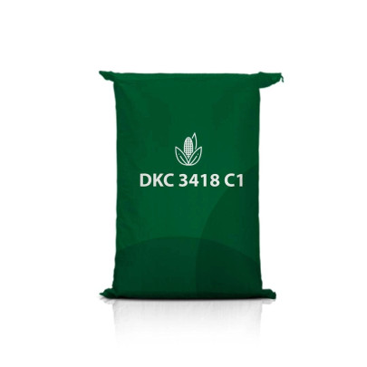 Kukurydza DKC 3418 C1