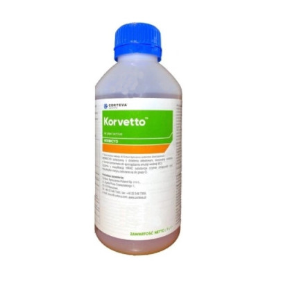 Korvetto