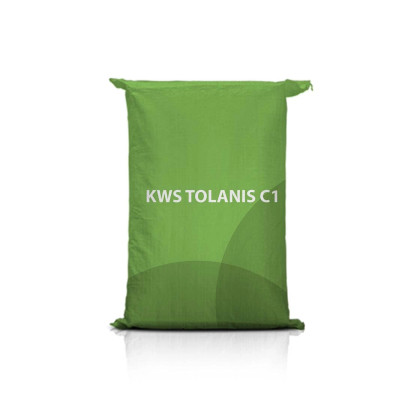 Jęczmień ozimy KWS TOLANIS C1