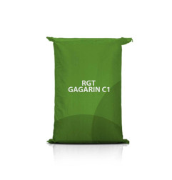 Jęczmień jary RGT GAGARIN C1