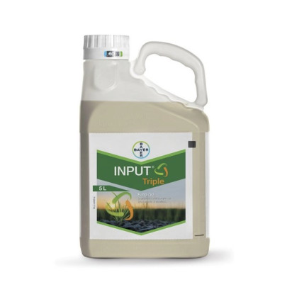 Input Triple 400 EC