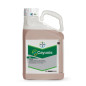 Cayunis