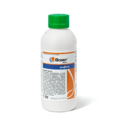 Boxer 800 EC